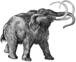 250px-Mammouth.png
