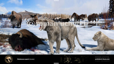 Pleistocene epoch Eurasia