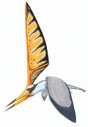 Nyctosaurus.jpg