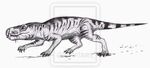 Aelurosaurus.jpg