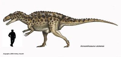 Acrocanthosaurus a escala.