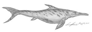 Leptonectes