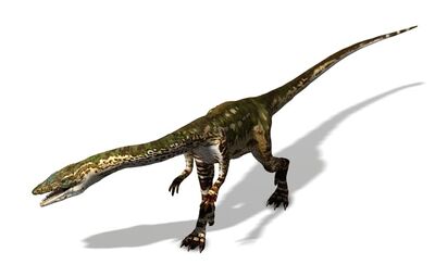 Podokesaurus.jpg