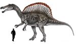 Spinosaurus