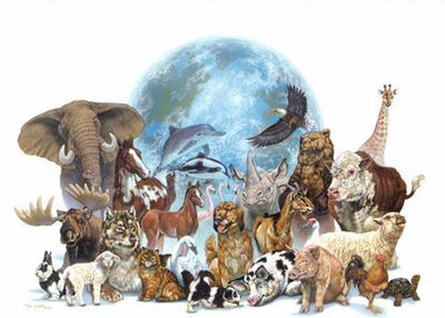 Animales-en-peligro-de-extincion.jpg