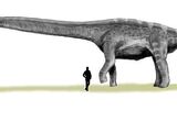 Argentinosaurus