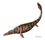 Plotosaurus