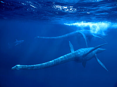 Elasmosaurus-3.jpg
