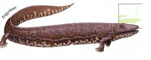Dino1.jpg