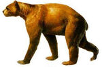 Arctodus.jpg