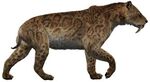 Smilodon.jpg