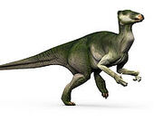 200px-Iguanadon.jpg