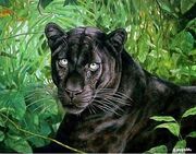 Los-13-animales-carnivoros-mas1.jpg