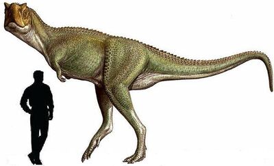 Xenotarsosaurus