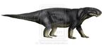 Broomisaurus.jpg