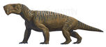 Gorgonops