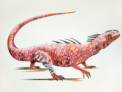 Acleistorhinus
