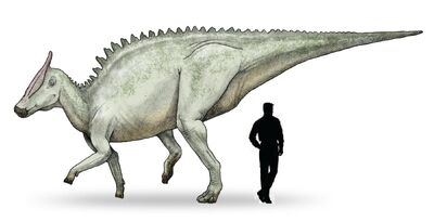 Saurolophus