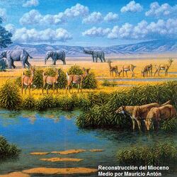Guía del mundo prehistórico: Mioceno