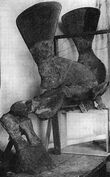220px-Tapinocephalus.jpg