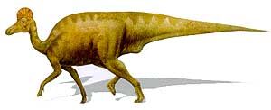 1237314814 254 coritosaurio.jpg