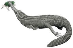 Machimosaurus.jpg