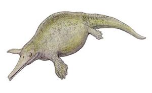 Hupehsuchus