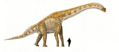 Giraffatitan