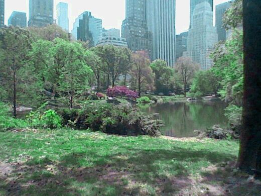 CENTRAL PARK.jpg