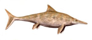 Stenopterygius.jpg
