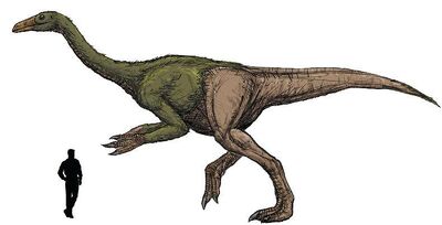 Deinocheirus