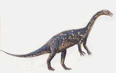 Gyposaurus-uua.jpg