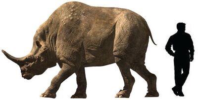 Embolotherium