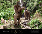 Gigantopithecus