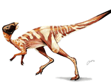 Wannanosaurus