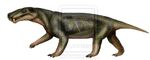 Cyonosaurus.jpg