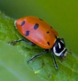 0ZAL3LULJL9LLZTLXZLHMZVLQZVL6RSHPRALKZZHPRKHKZRH4RKHIR6LFL2LKR6LKRELIR3ZYLYZER