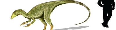 Aristosuchus