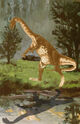 Ammosaurus