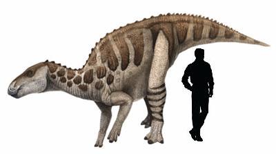 Bactrosaurus