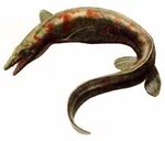 Platecarpus