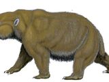 Diprotodon