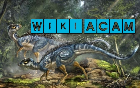 Categoría:Dinosaurios | Wiki ACAM | Fandom