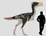 Andalgalornis