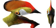 Reptil volador cuenca.jpg