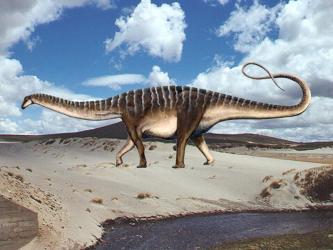 Zapalasaurus-vivió-hace-a 4feacc975f789-p
