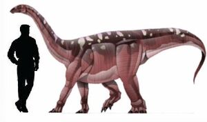 Blikanasaurus.jpg