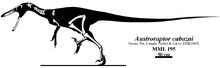 Austroraptor