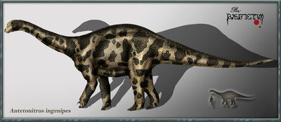 Antetonitrus