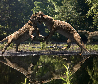 Gorgonops1.jpg